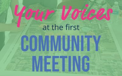 First Community Meeting: Your Voices
